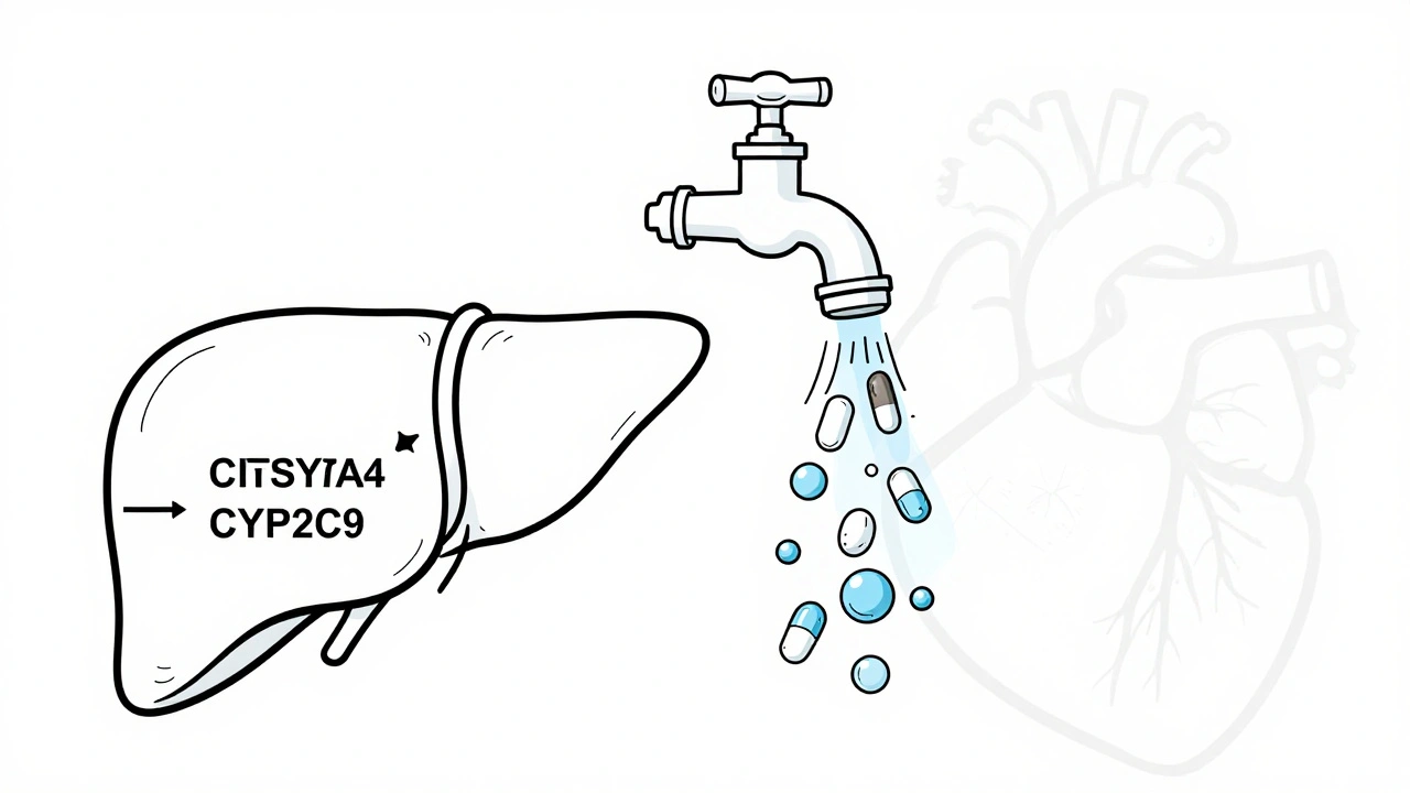 Rifampin Induction: How It Lowers Anticoagulant and Antiviral Levels
